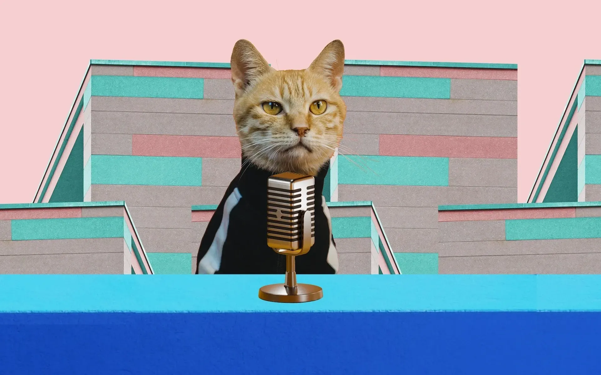 A cat sat in front of an old-fashioned microphone