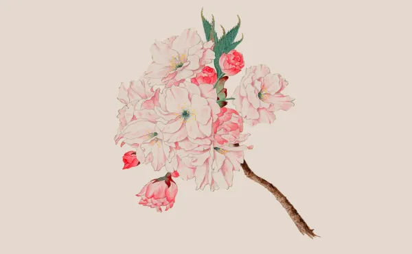 A bunch of flowers